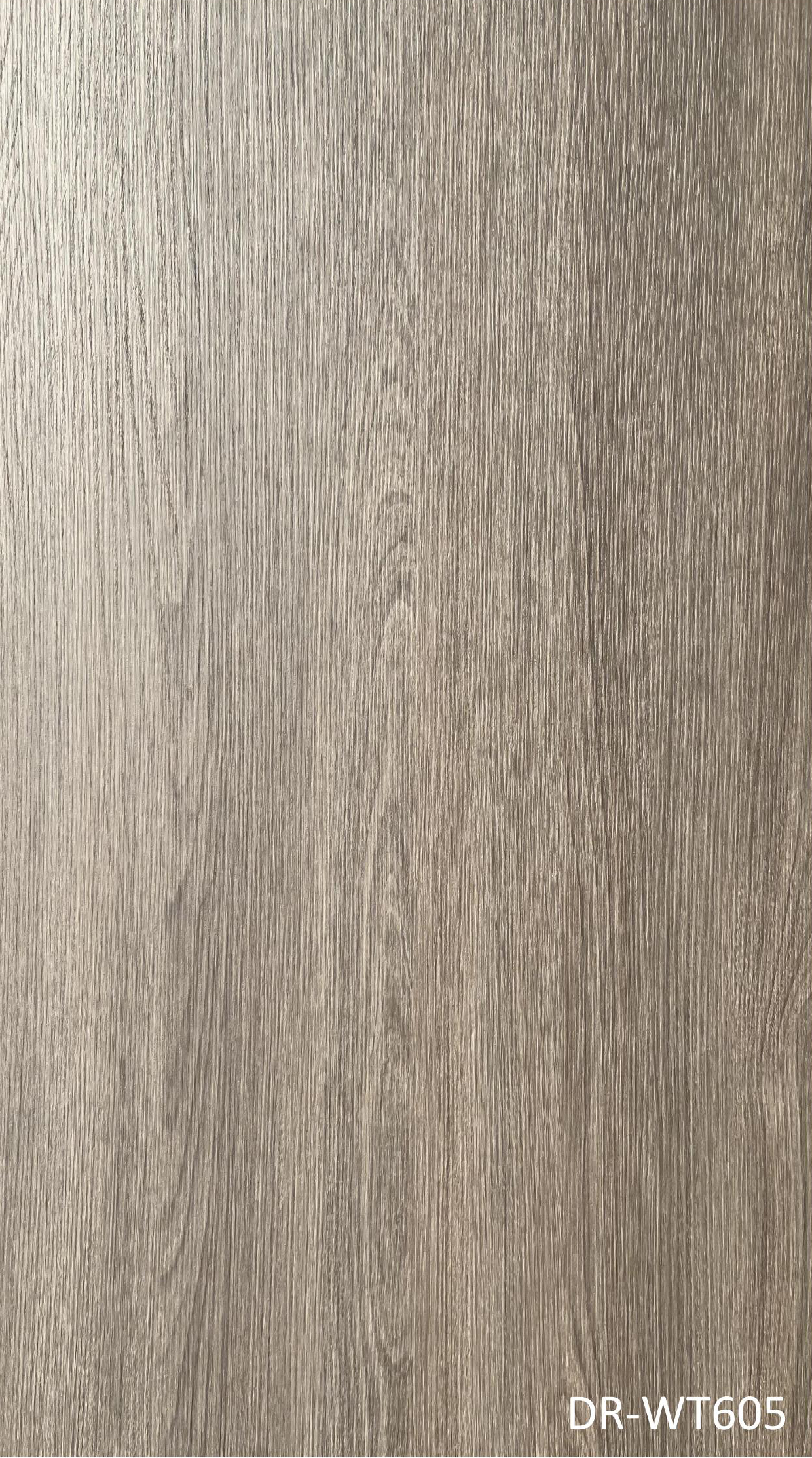 DR-WT605