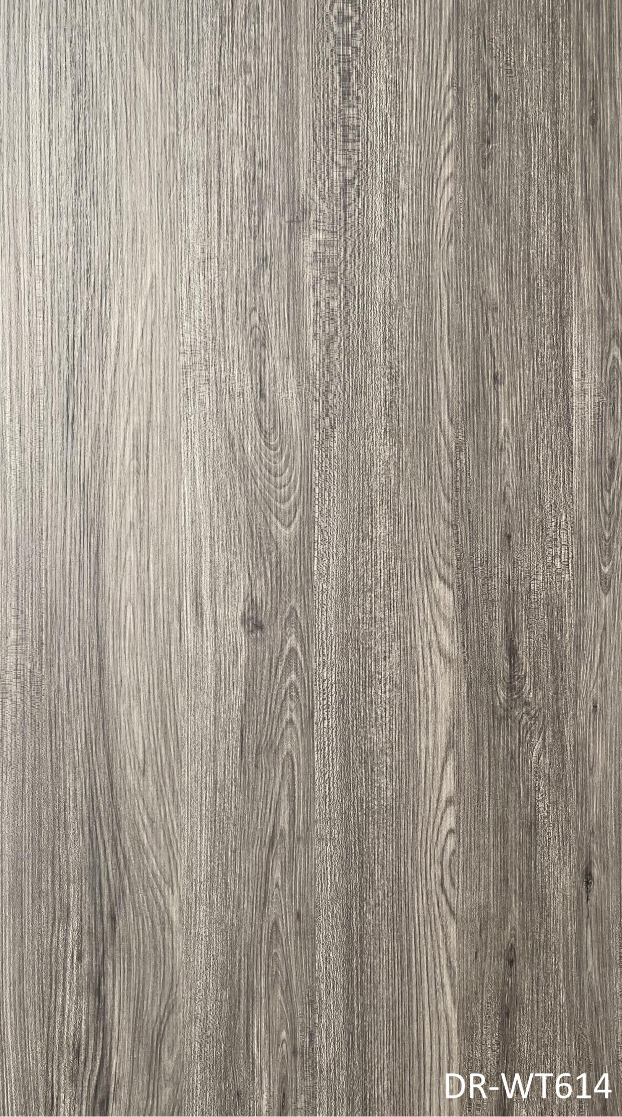DR-WT614