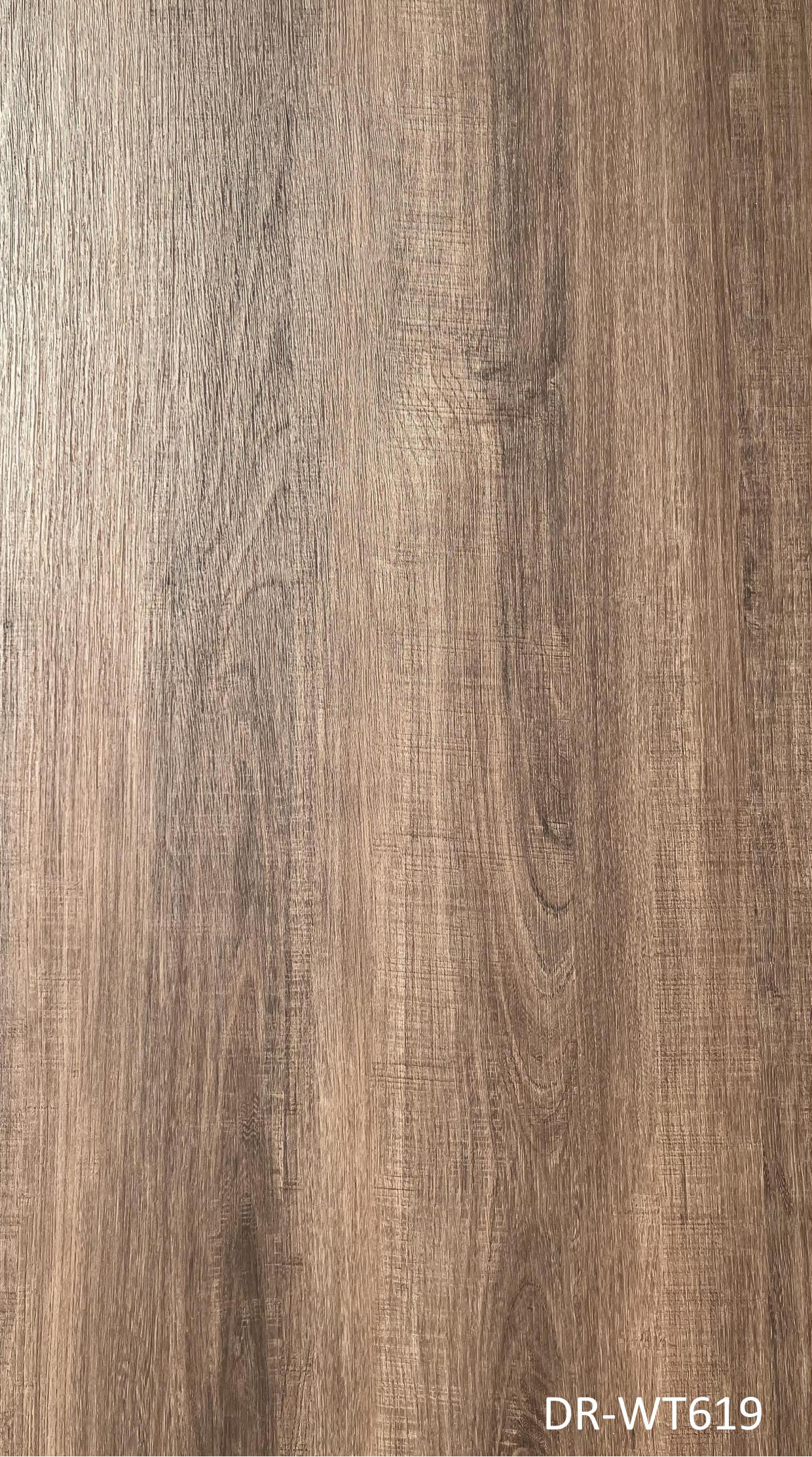 DR-WT619